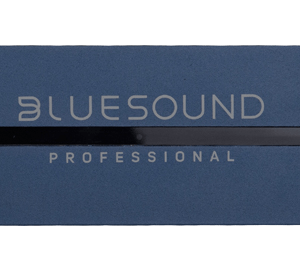 BlueSound Professional BS100S-3