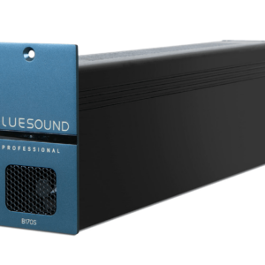 BlueSound Professional B170S Angle