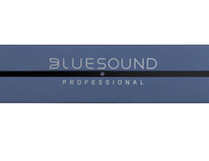 BlueSound Professional BS400S Front